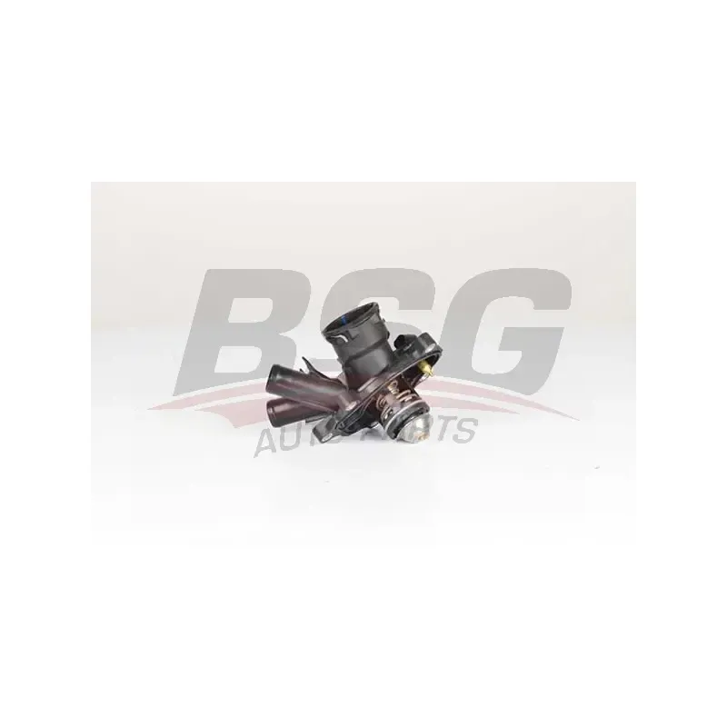 TERMOSTAT — CGI
