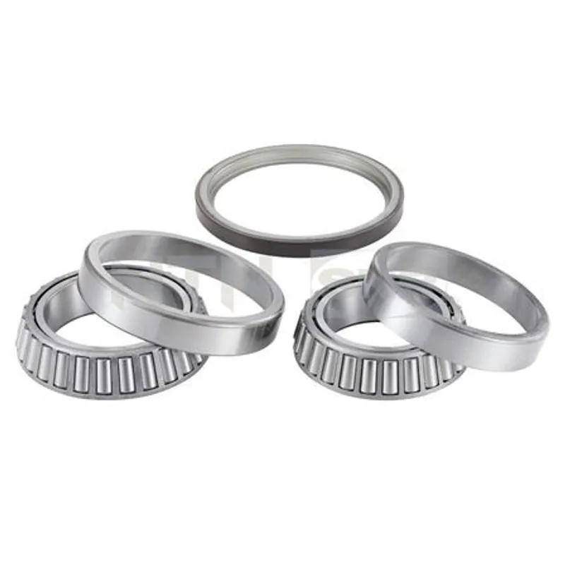 TEKER RULMANI MASTER III 10= 2.3DCI ARKA ÇİFT TEKER KEÇELİ TAKIM
