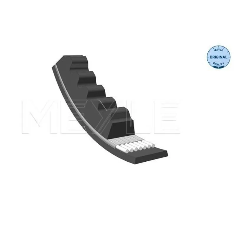 V KAYIŞ FORD / ROVER