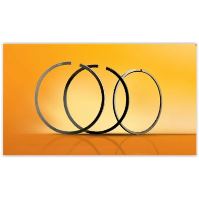 SEGMAN H-100 94-96 / L-300 90-08 STD