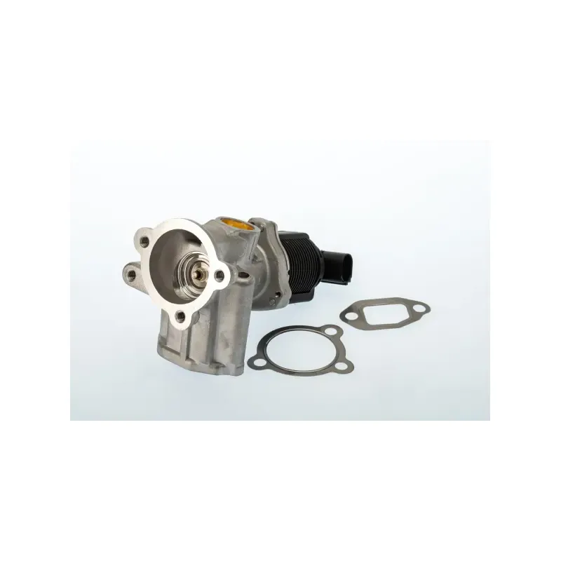 EGR VALFI — 90 BG